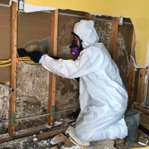 Property Restoration & Cleanup
