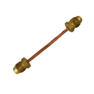 Copper Hogtail POL x POL