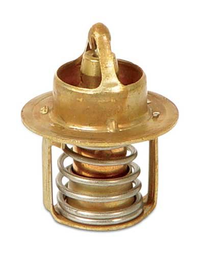 Mercury – Thermostat – 110 Degrees – F528068