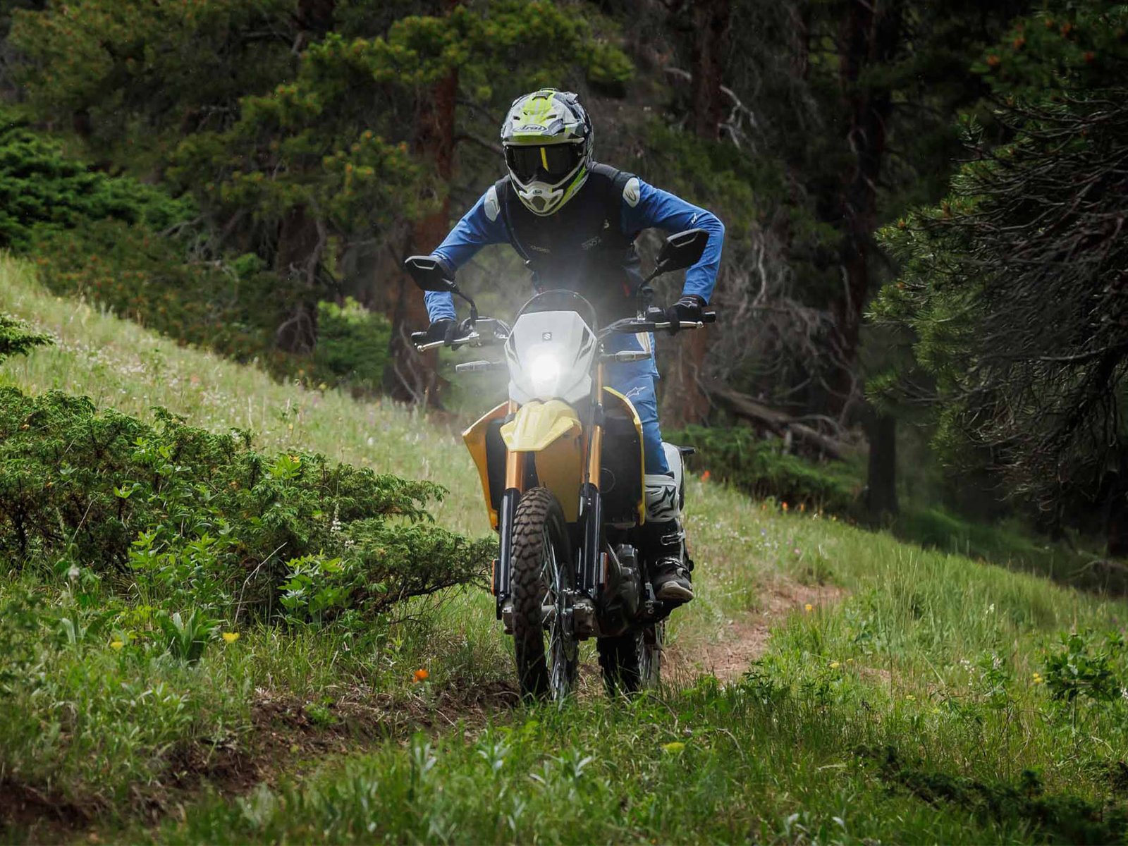 2025 Suzuki DR-Z4S - Image 6