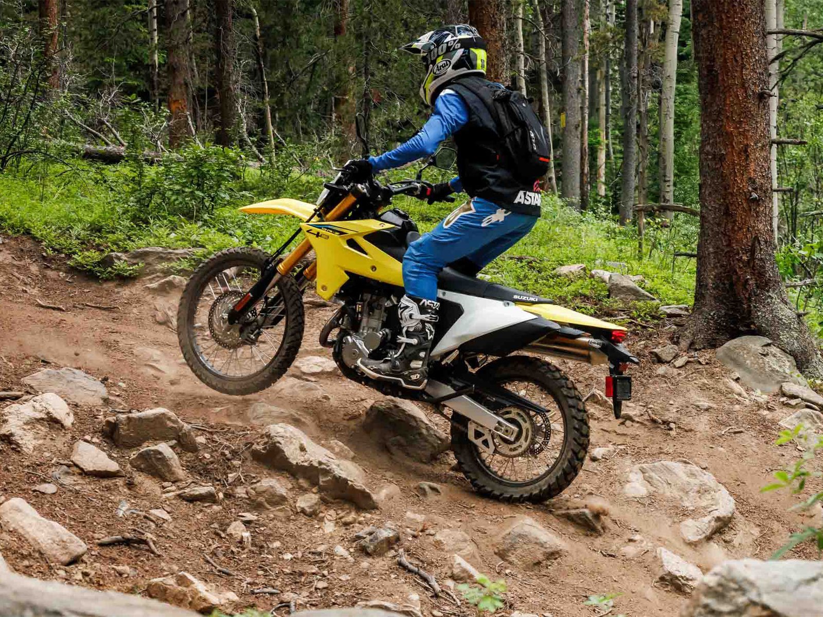 2025 Suzuki DR-Z4S - Image 11