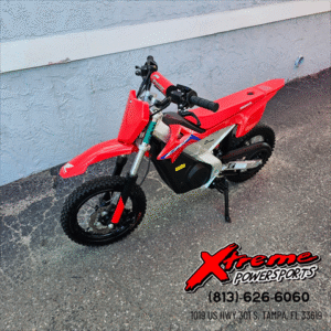 2021 Greenger Powersports CRF EE-2
