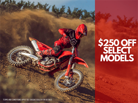 2025 GASGAS MC 250 - Image 2
