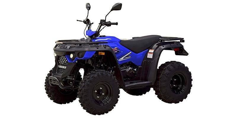2025 Massimo Motor MSA 210