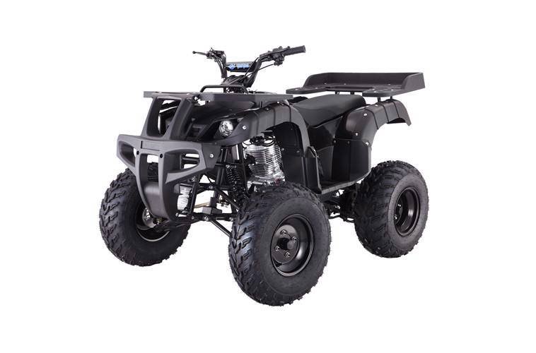 2022 TAOTAO Rhino 250