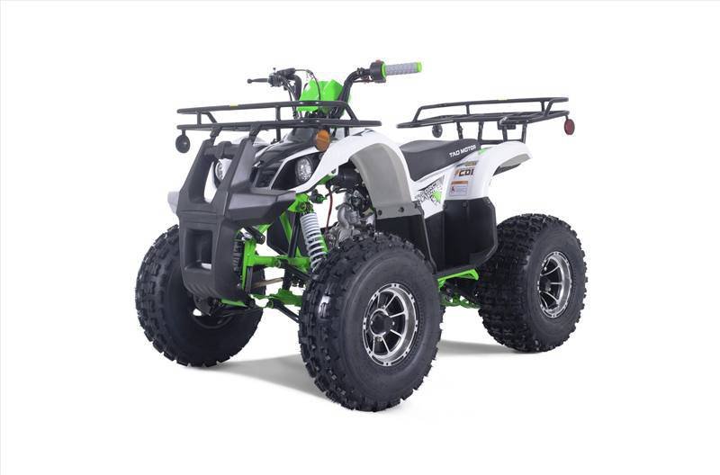 2022 TAOTAO 2022 TForce Platinum
