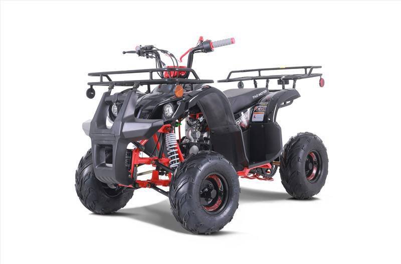 2022 TAOTAO D125 (ATA125D)