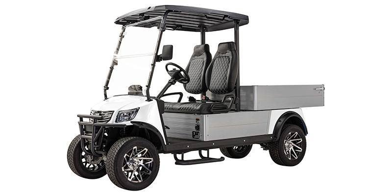 2024 Massimo Motor MVR Cargo Max