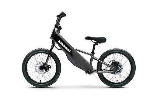2025 Kawasaki ELEKTRODE® 20FS