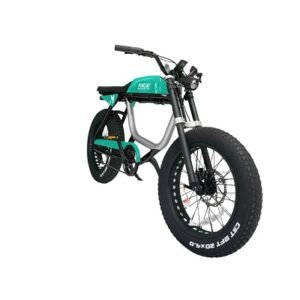 Anza 750 S E-BIKE Teal