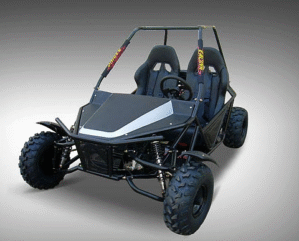 Batman 200cc Go Kart Cougar