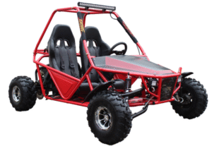 Cougar Batman 200cc Go Kart