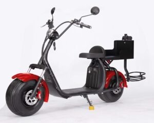 Citycoco Elec Scooter W/ Rack Red