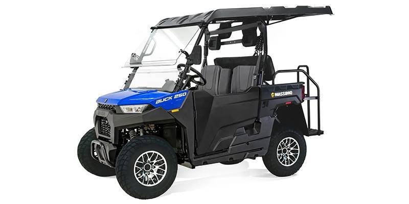 2025 Massimo Motor Buck 250X Golf