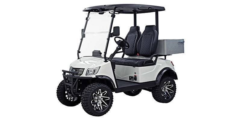 2024 Massimo Motor MVR Cargo