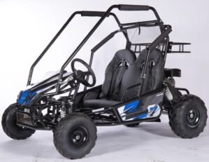 Dirt Moto Go Kart 200cc Auto Blue