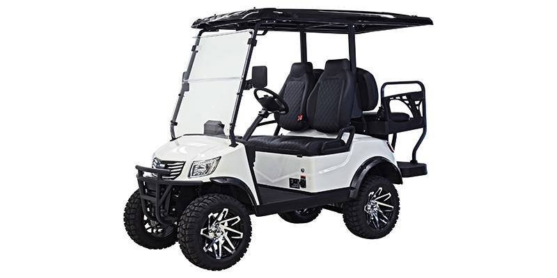 2024 Massimo Motor MVR 2X