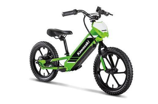 2025 Kawasaki ELEKTRODE® 16