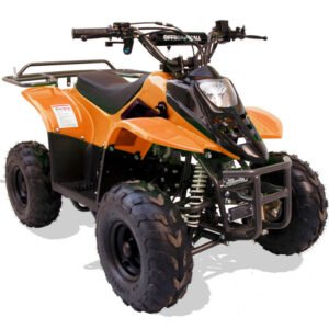 Hawk Rex 110cc Atv 6″ Tire Orange