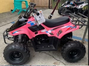 Hawk Rex 110cc Atv 6″ Tire Pink