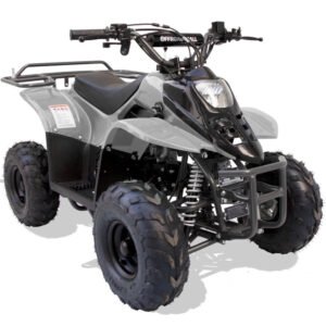 Hawk Rex 110cc Atv 6″ Tire Silver