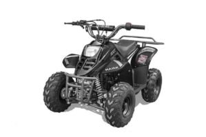 Hawk Rex 110cc Atv 6″ Tire Black
