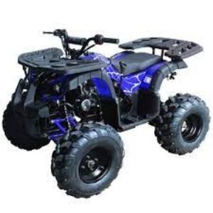 Rider 10 New 125cc Atv Blue Spider