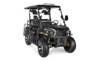 Rover 300 Efi Golf Cart Grey