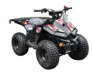 RXR 110cc Atv Auto W/ Rev BLK/RED