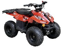 RXR 110cc Atv Auto W/ Rev Orange