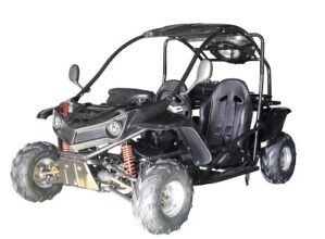 T-REX 125cc Go Kart W/REV Black
