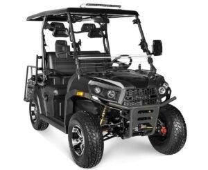 Rover 200cc Golf Cart Grey