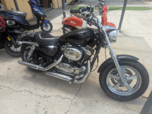 Harley Sportster Custom 1200 Consignment