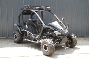 Youth Go Kart 125cc With Reverse Black