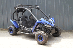 Youth Go Kart 125cc With Reverse Blue