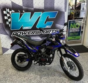 Xhawk 250cc Motorcycle Green