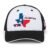 Alfa Romeo Racing F1 USA Austin Hat