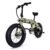 Defiant Fat Tire Folding Bike Camo